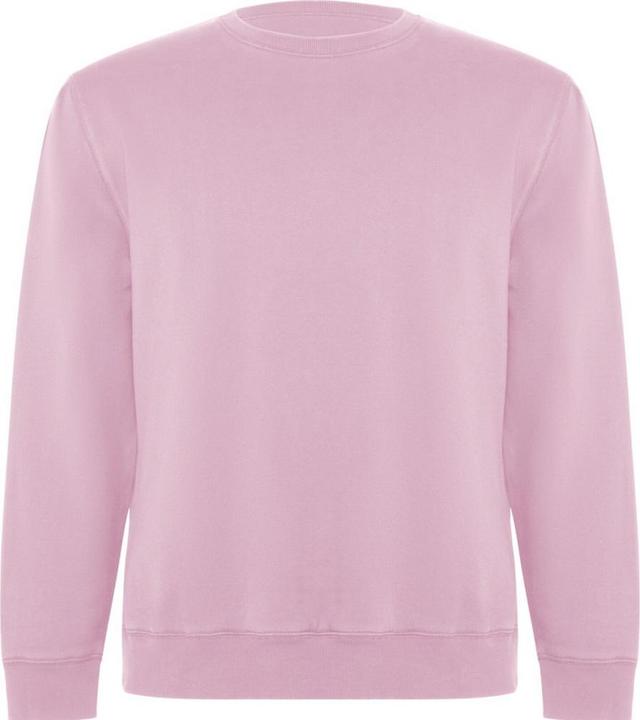 Alpinia Batian Sweatshirt Rundhalsausschnitt