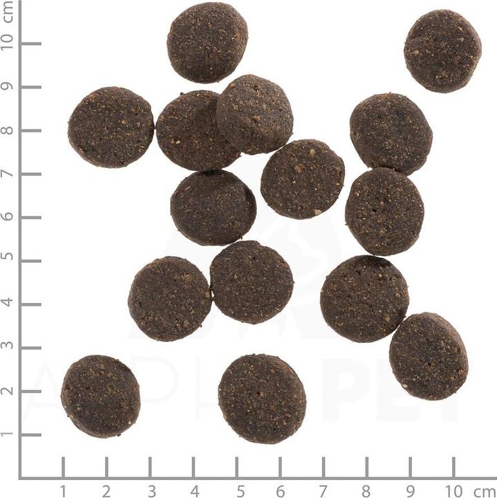 Actual product image Wolfsblut Blue Mountain (Adult, 1 pcs., 12500 g)