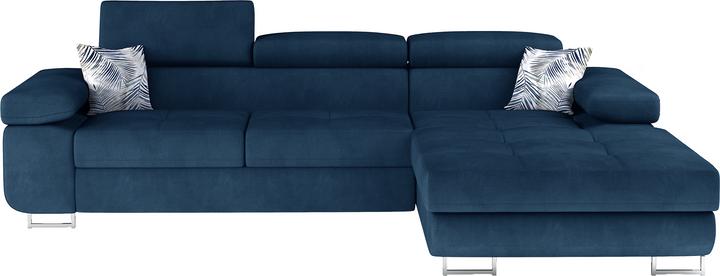 Dark Blue Kronos 09, Botanical 80