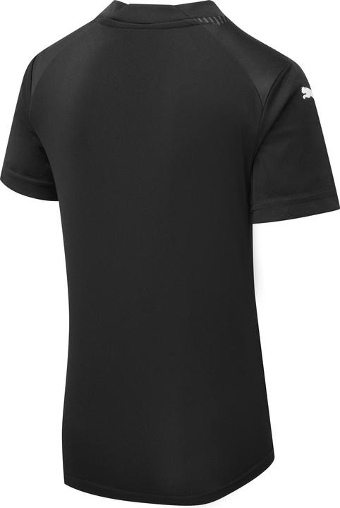 Image du produit Puma teamGLORY Jersey Jr (140)
