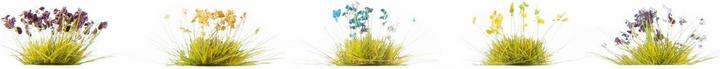 Image du produit Noch Fleurs 250 pièces