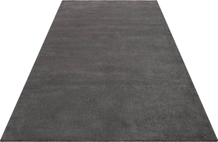 Actual product image Esprit Greenwood Rug (170 x 240 cm)