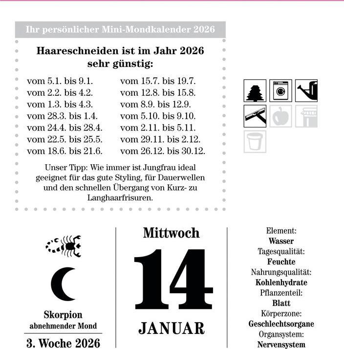 Immagine prodotto L'anno lunare 2026 - calendario a strappo (11,5 x 13 cm, Copertina rigida, Tedesco)