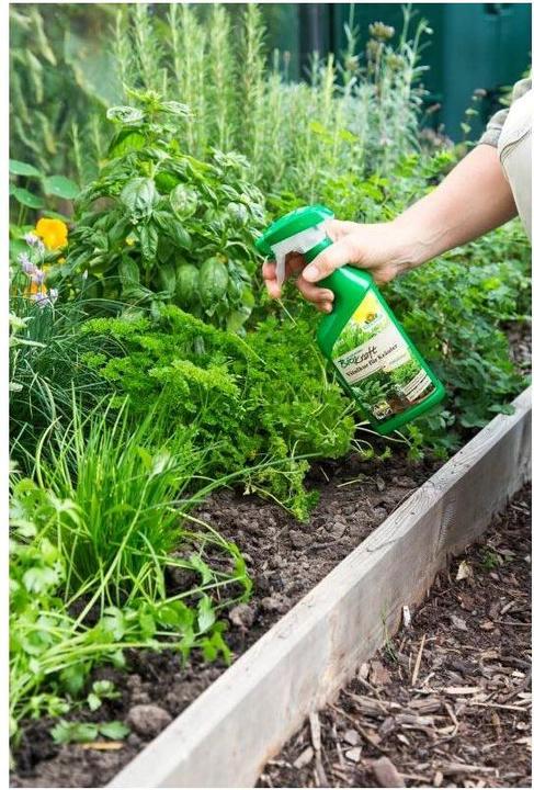 Produktbild Neudorff BioKraft Vitalkur für Kräuter (0.56 kg, 0.50 l)