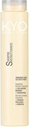 Freelimix Kyo Shampoo Ristrutturante - Reconstructive Shampoo (250 ml, Flüssiges Shampoo)