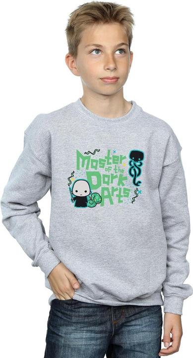 Actual product image Boys Voldemort Dark Arts Junior Sweatshirt (128)