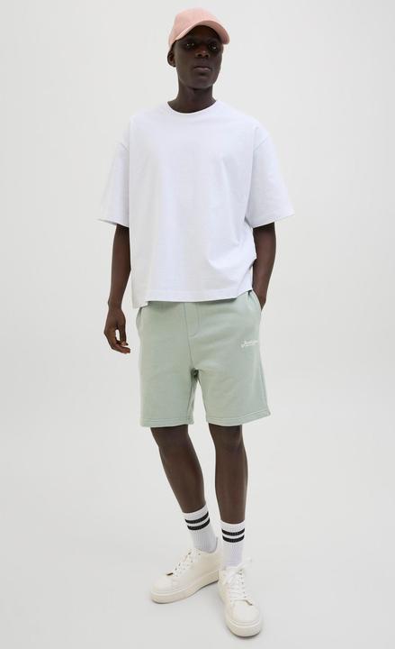 Immagine prodotto Jack & Jones Regular Fit Shorts Shorts (M)