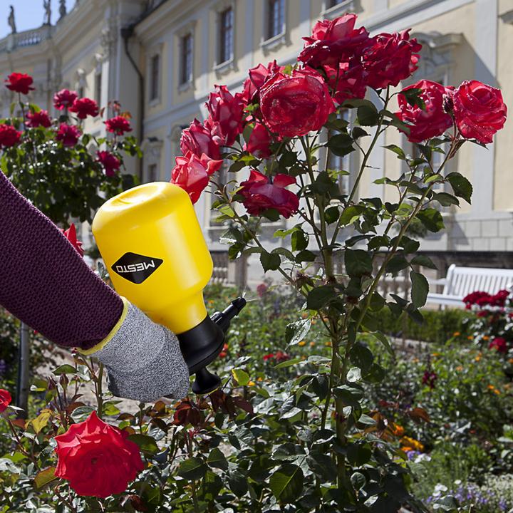 Actual product image Mesto Pressure sprayer BUGSI (1.50 l)