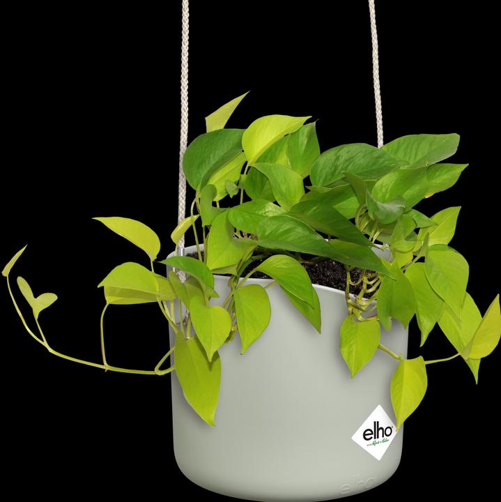 Produktbild Elho B.for Swing (18 cm)