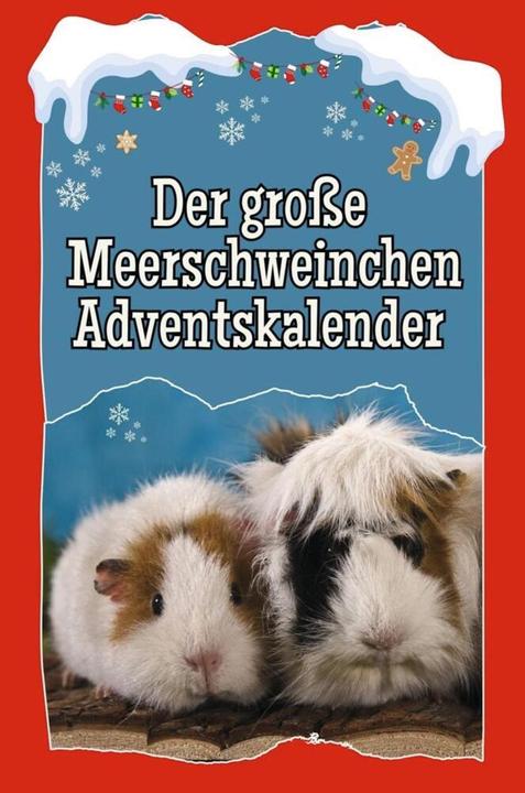 Actual product image Flip flop Schmid:Der grosse Meerschweinchen-Advent