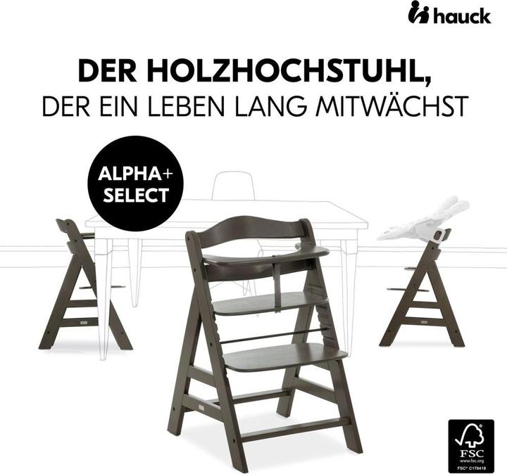 Actual product image Hauck Highchairs Highchair Alpha Plus Select Charcoal - in economy set (Highchair)