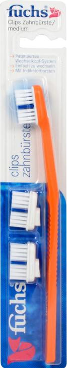 Interbros Fuchs Toothbrush Clip With (Medium, 1 x)