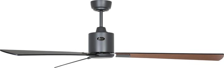 Actual product image CasaFan DC ceiling fan Eco Neo III WiFi 152 BG SW-TK (47.10 dB)