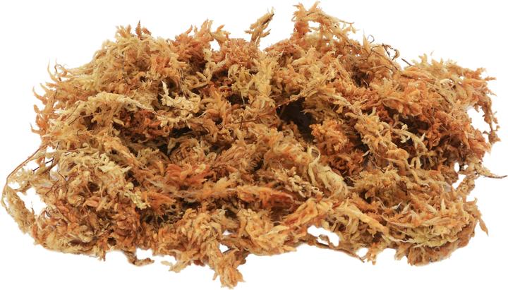Immagine prodotto Lucky Reptile Muschio da terrario Sphagnum