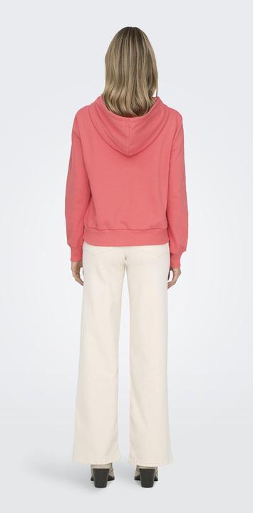 Image du produit Only ONLNOLI Sweatshirt Kapuzenpullover (XL)