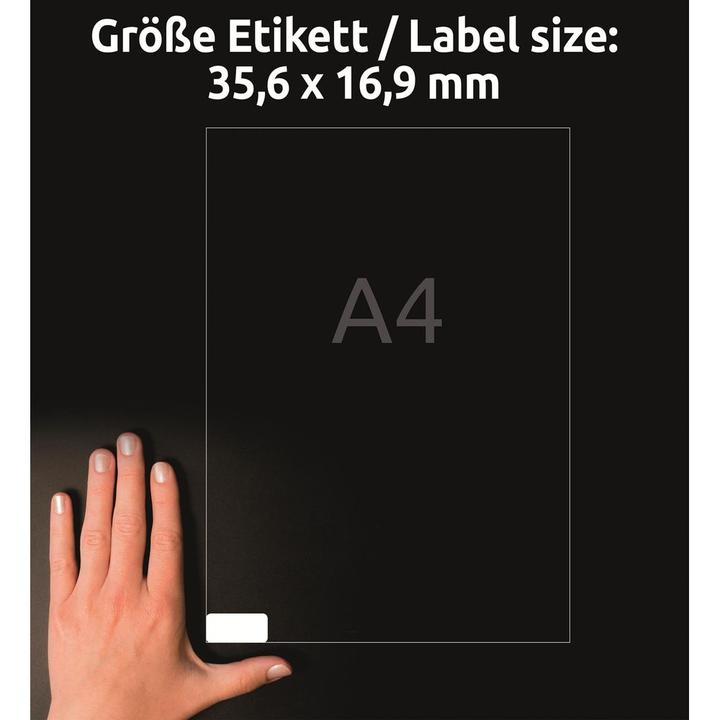 Actual product image Avery Labels, removable, home office, small pack