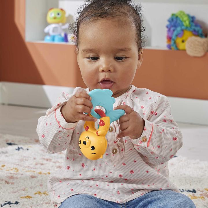 Actual product image Fisher-Price Animal activity teething rings assorted