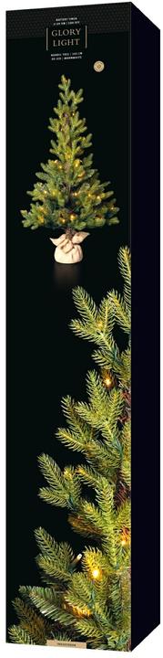 Immagine prodotto STT Albero nordico