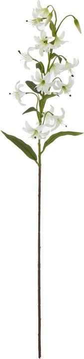Image du produit Hill Interiors Lys de Turk's Cap Spray Fleur Artificielle (82 cm)