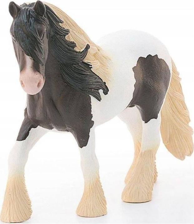 Image du produit Schleich Tinker Mâle