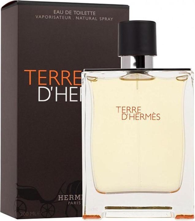Image du produit Hermès Terre d' (Eau de toilette, 200 ml)