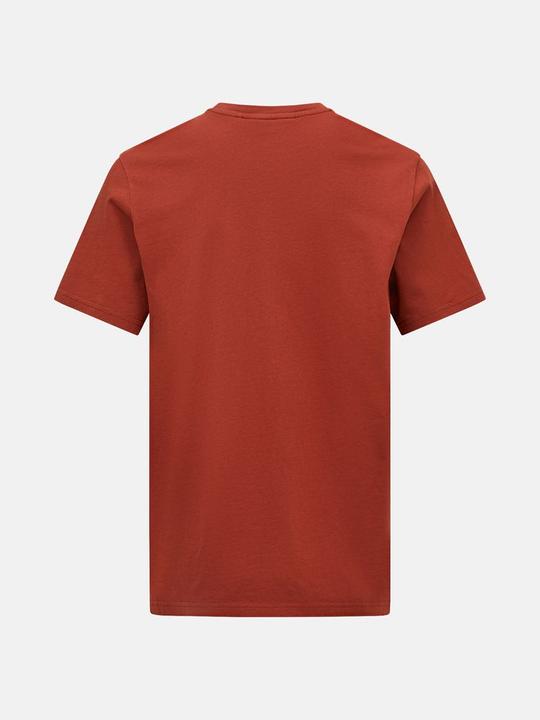Actual product image Peak Performance Original tea (M)