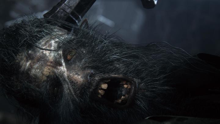 Actual product image Sony Bloodborne GOTY Edition (PS4, Multilingual)