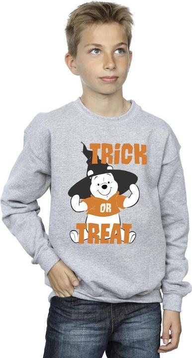 Image du produit Disney - Sweat WINNIE THE POOH TRICK OR TREAT - Garçon (152, 158)