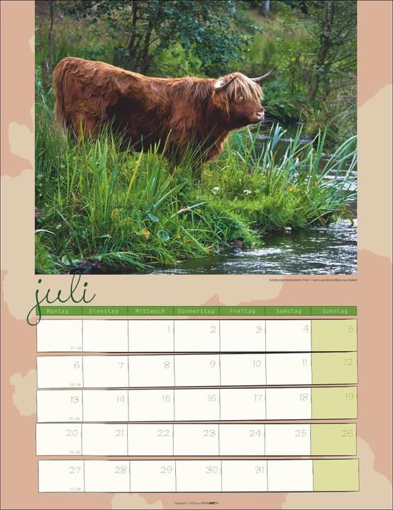 Produktbild Kuh Kalender 2026 (30 x 39 cm, Deutsch)