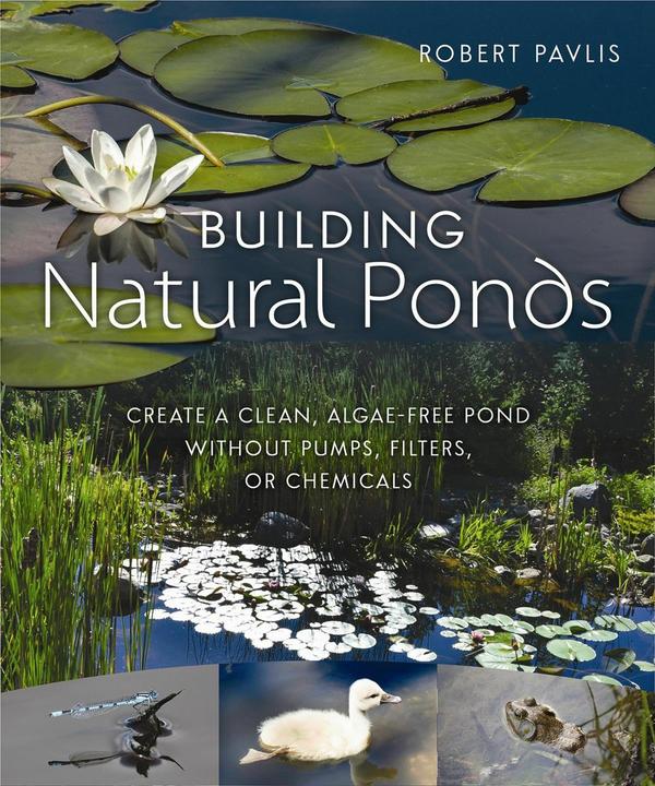 Actual product image Building Natural Ponds (English, Robert Pavlis, 2017)
