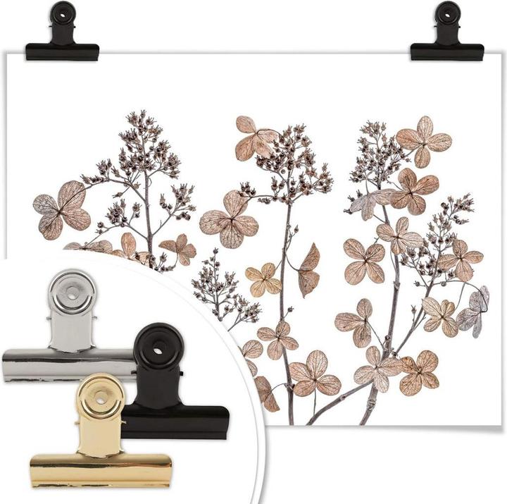 Actual product image Trenddeko Dried flowers (100 x 80 cm)