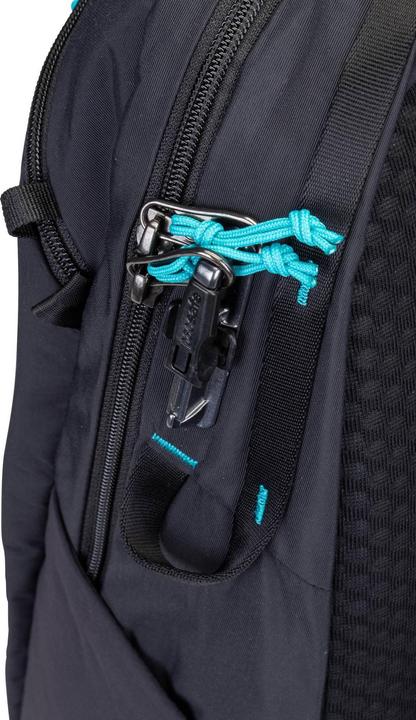 Actual product image Pacsafe Eco 12