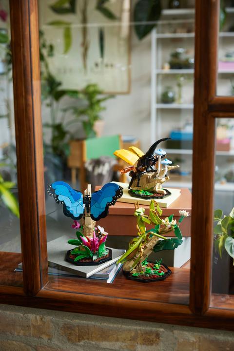 Immagine prodotto LEGO Idee La collezione di insetti (21342, LEGO Ideas)