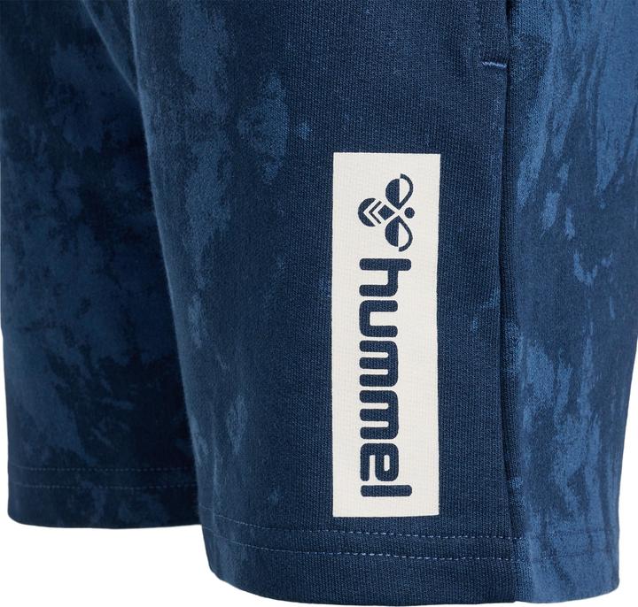 Actual product image hummel Hmljump Aop Shorts (152)