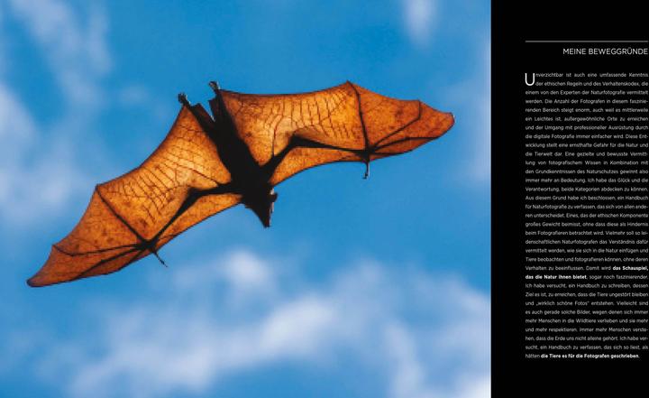 Actual product image Einführung in die Naturfotografie (German, Iago Corazza, Massimiliano Biasioli, 2022)