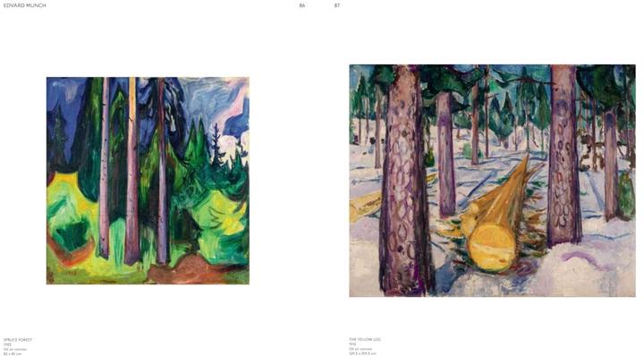 Image du produit Northern Lights (Anglais, Mues Design, Louise Bannwarth, Ulf Küster pour la Fondation Beyeler, Londres, Katerina Atanassova, Helga Christoffersen, Riehen / Bâle, Anne-Maria Pennonen, Angela Lampe, 2025)