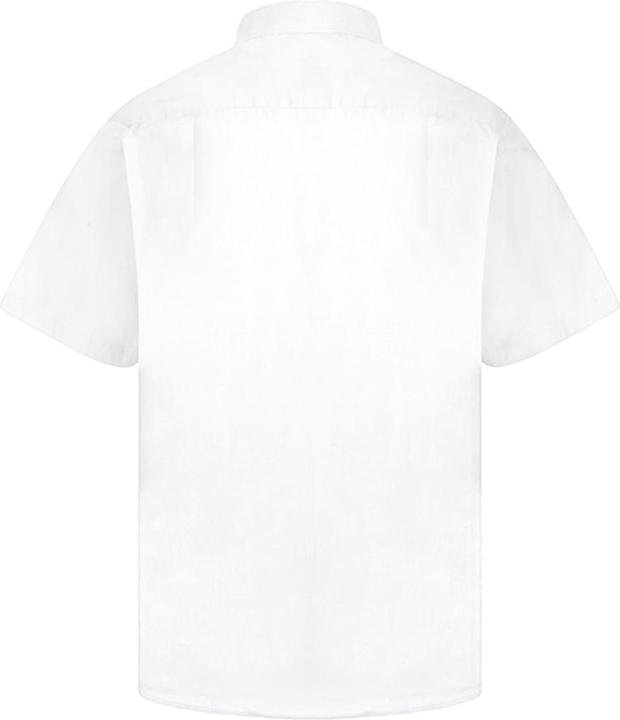 Produktbild Absolute Apparel Kurzarm Klassisches Popelin TShirt (S)