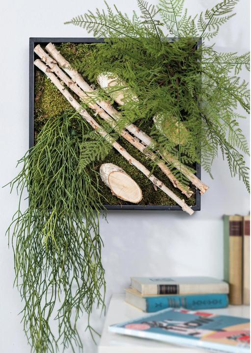 Actual product image Opiflor Birch branches bundled 1-2.5 x 50 cm