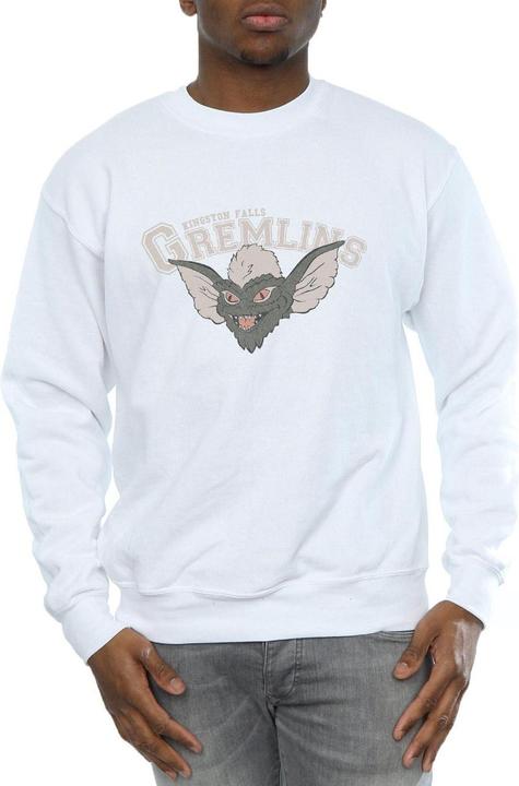 Image du produit Universal Textiles - Sweat KINGSTON FALLS SPORT - Homme (M)