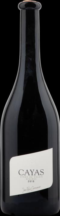 Jean-René Germanier Cayas Syrah Réserve (2021)