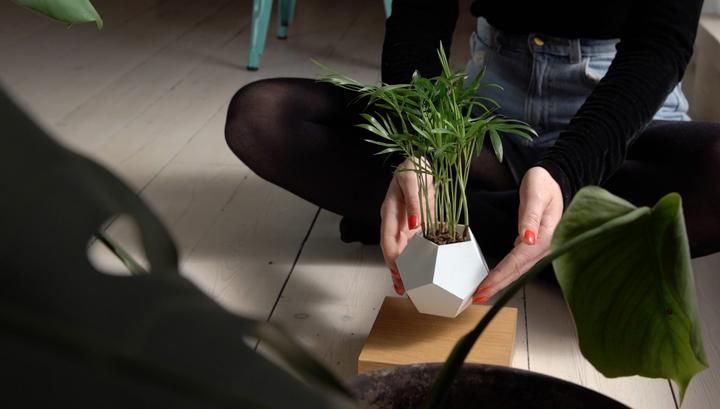Produktbild Flyte LYFE Planter (154 cm)
