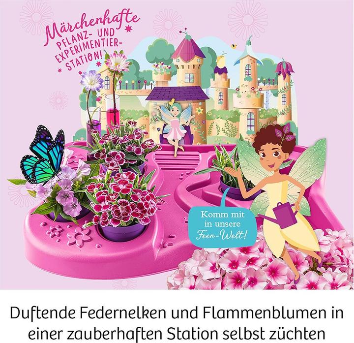 Actual product image Kosmos Fairy Garden