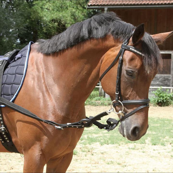 Actual product image Kerbl Binding reins