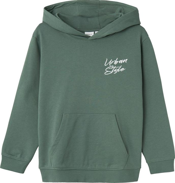 Name it Regular Fit Hoodie (116)