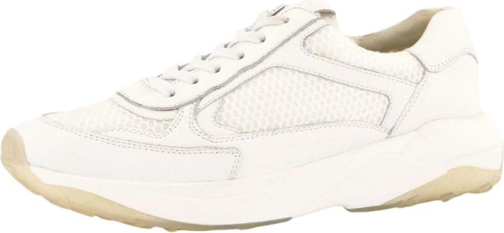 Maincalf, Sportnet White 037