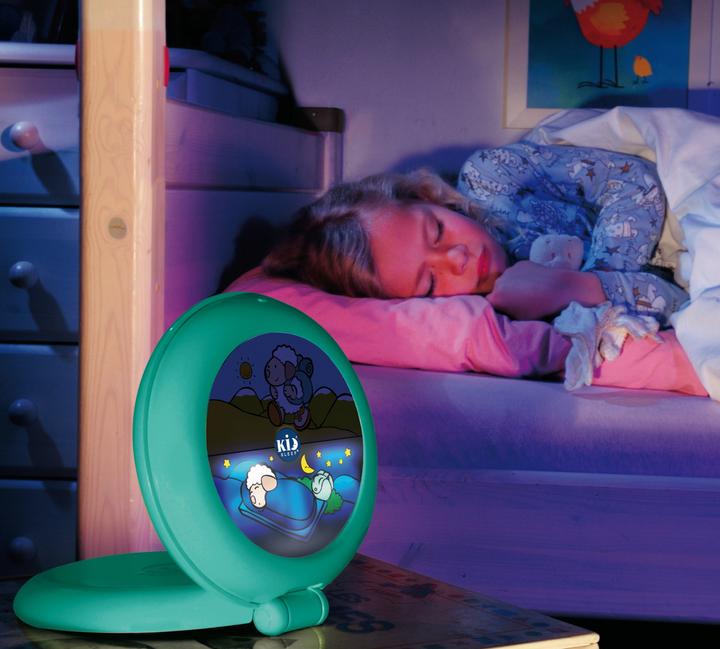 Actual product image Claessens'Kids Kid'Sleep Globetrotter