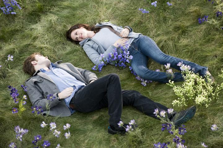 Actual product image Twilight New Moon (DVD, 2011, English, German)