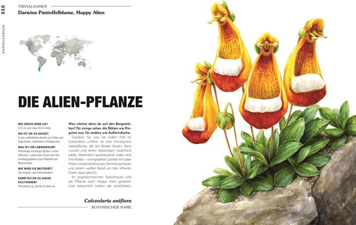 Produktbild Kuriose Pflanzen (Deutsch, Michael Perry, Reinhard Ferstl, DK Verlag, 2023)