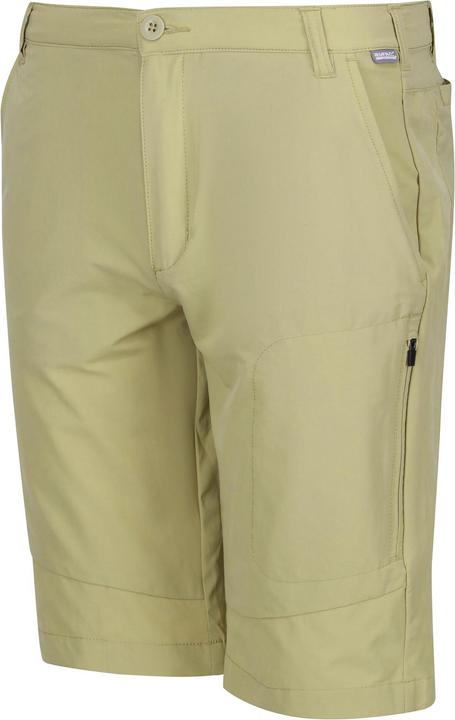 Actual product image Regatta Mens Highton Walking Shorts (44 D)