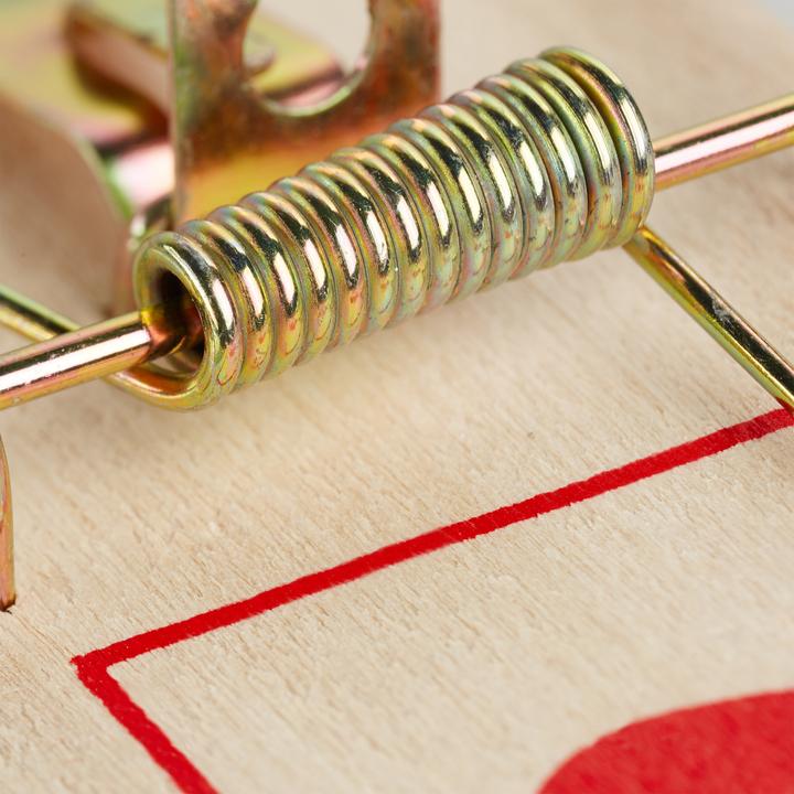 Actual product image Relaxdays 25x mousetrap